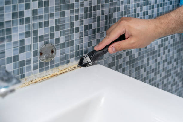 Best Residential Mold Removal  in Brinckerhoff, NY
